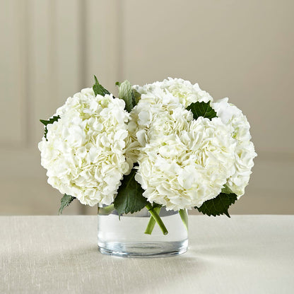 White Hydrangea Bouquet –  Monarca Florist, Yonkers NY