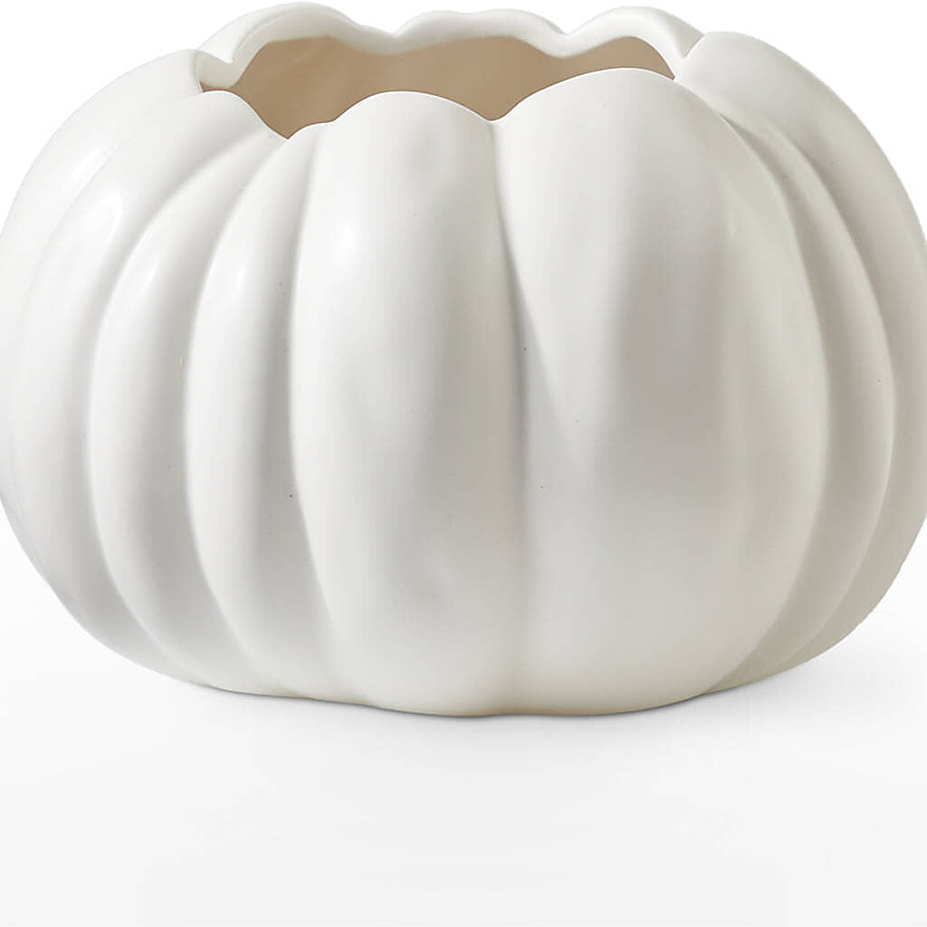 Autumn Air Pumpkin Bouquet –  Monarca Florist, Yonkers NY